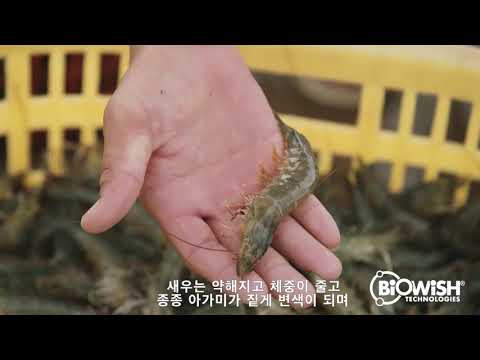 BiOWiSH 기술 소개 영상 미리보기